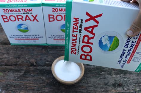 Where Is Borax Used