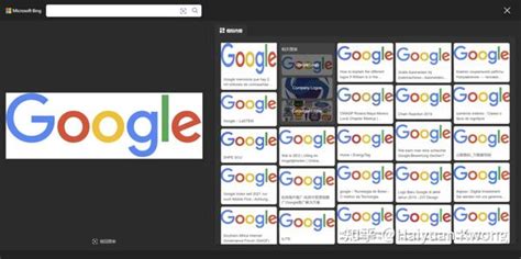 Bing搜图 的图像结果