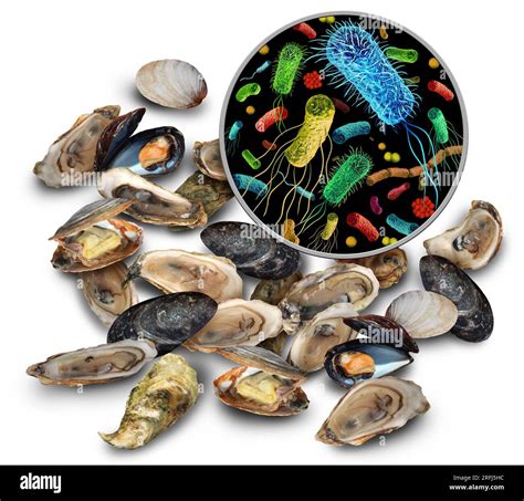 Does Freezing Oysters Kill Harmful Bacteria For Good