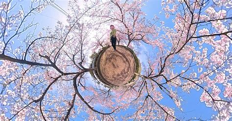 CCD Sensor vs CMOS-Sensor 的图像结果