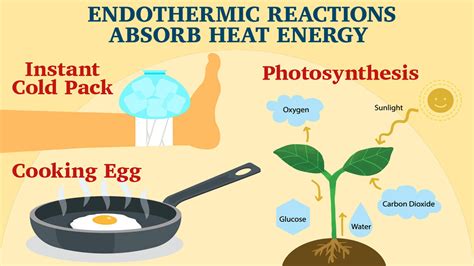 Exothermic Reaction Examples 的图像结果