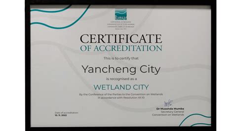 刚刚，盐城获颁“国际湿地城市”证书，为全球城市湿地生态保护最高荣誉！_自然_世界