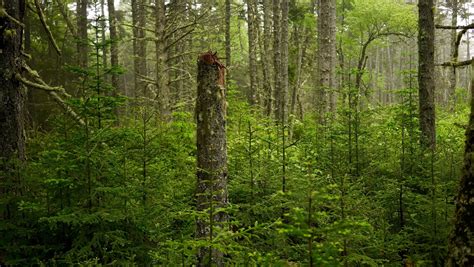 Eastern Frontier Educational Foundation