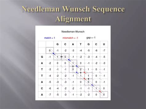 Needleman wunsch computional ppt | PPT