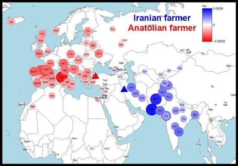 Image result for Basque Genetics