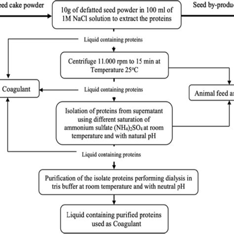 Image result for Protein Extraction Simple Protocol