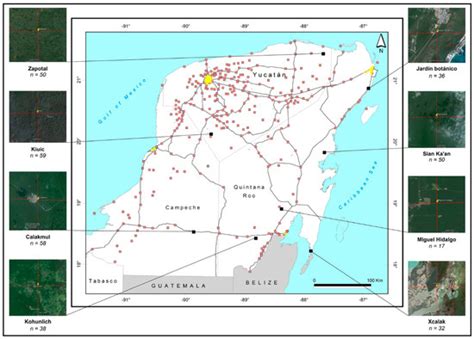 Effect of Climatic Conditions and Land Cover on Genetic Structure and ...