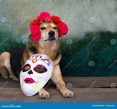 Personification Of Fear In Greek Mythology God Phobos. He Is The Son Of ...