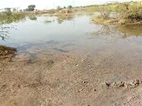 Saurashtra's main Narmada Canal overflow, more than 200 bigha of land ...