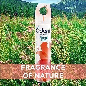 Odonil Room Air Freshener Spray - 440ml Combo (Pack of 2, 220ml each ...