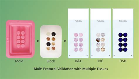 IHC Antibodies, Cancer Biomarkers & Pathology Reagents | PathnSitu Products