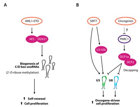 Cells | September 2019 - Browse Articles