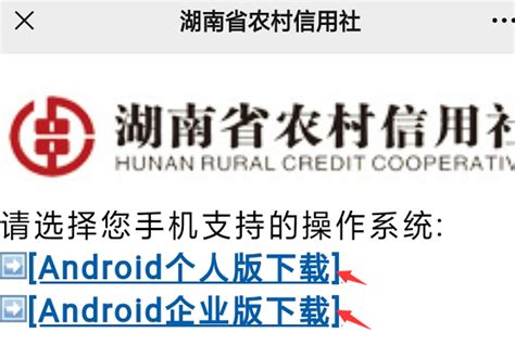 ‎App Store 上的“湖南农信手机银行V3”