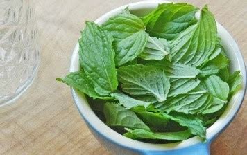 Vocabulary Words: Improve Your Vocabulary with Antonyms & Synonyms ...