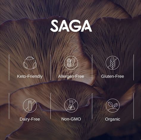 Buy SAGA Spotlight Mushroom Energy Shots, Nootropic & Adaptogen Brain ...