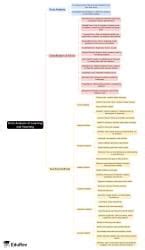 Error Analysis of learning and teaching Mind Map - CTET and State TET Maths