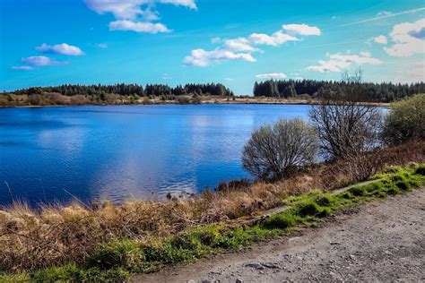 LLYN LLECH OWAIN COUNTRY PARK (2026) All You Need to Know BEFORE You Go ...
