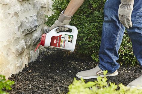 The 8 Best Ant Killers For Lawns