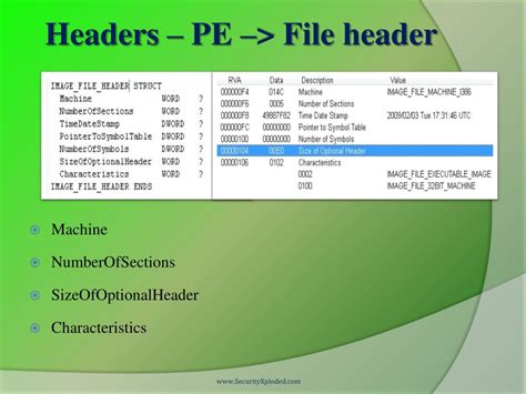 Image result for Pe64 File Format
