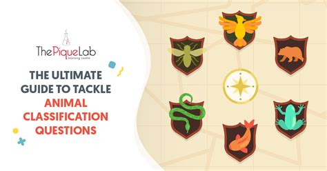 Image result for Classification Key Questions Animals