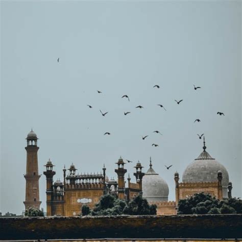 La Classe Translation Services In Delhi , India