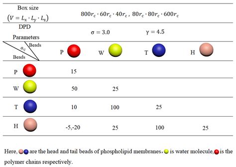 Interaction of Macromolecular Chain with Phospholipid Membranes in ...