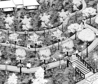 Vegetation as Orientation: Story along each trail | CEPT - Portfolio