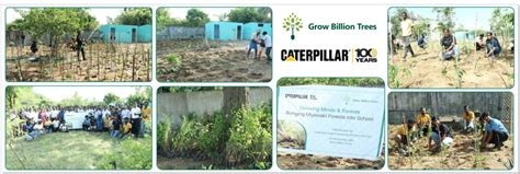 Caterpillar's Legacy: A Learning forest in Koppur Thiruvallur – Grow ...