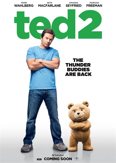 《泰迪熊2》全集在线播放-电影 - 我爱月亮电影网