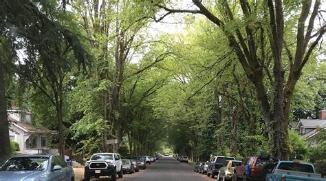 LADD'S ADDITION (2025) All You Need to Know BEFORE You Go (with Photos ...