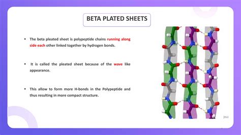 Levels of protein structure.pptx