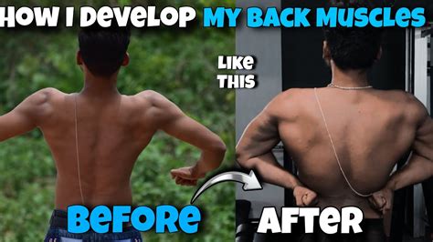 Image result for How to Develop Back Muscles