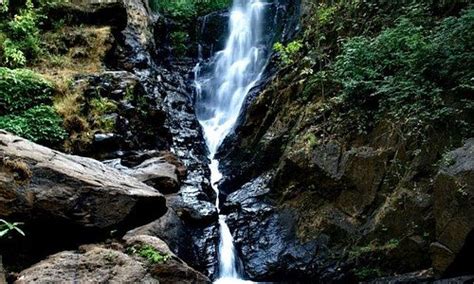 Netravali Tourism (2023): Best of Netravali, India - Tripadvisor