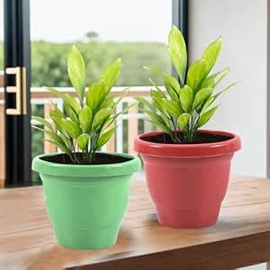 Homestic 2 Pcs Flower Pots for Garden & Planters for Home Decor | 8 ...
