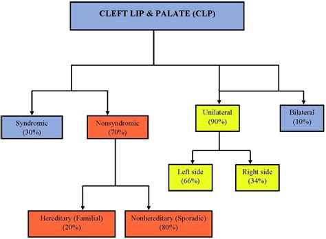 Genetic etiology of cleft lip and cleft palate