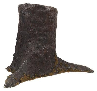 Image result for Build a Tree Log for Stage Prop