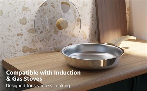 Buy Lifelong Triply Fry Pan with Glass Lid for Cooking - Stainless ...