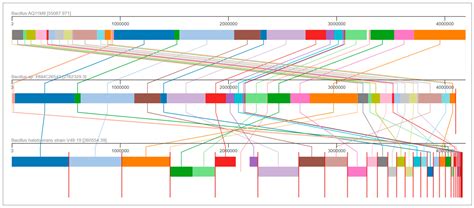 Genome-Guided Identification of Surfactin-Producing Bacillus ...