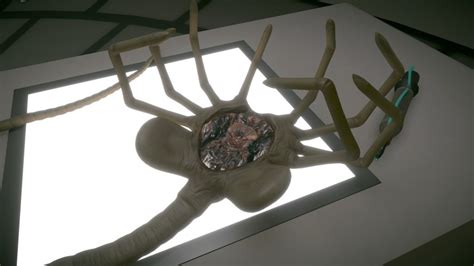 Alien Earth Facehuggers 的图像结果