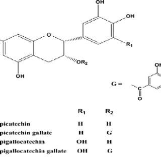Image result for Python and Function for EGC Tutorial