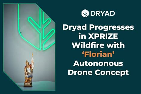Image result for Dryad Programming