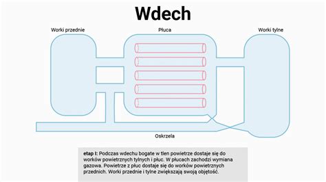 Image result for Python While True Loop
