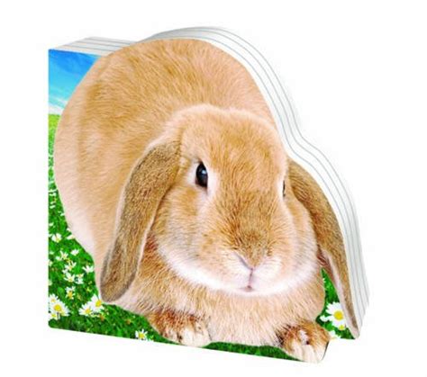 Buy Rabbit (Peep Through Board Books) Book Online at Low Prices in ...