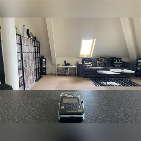 Room Tone Sound Effect 的图像结果