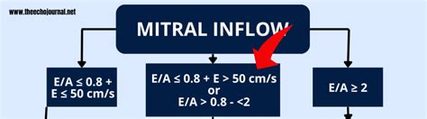 Image result for Grading Diastolic Dysfunction
