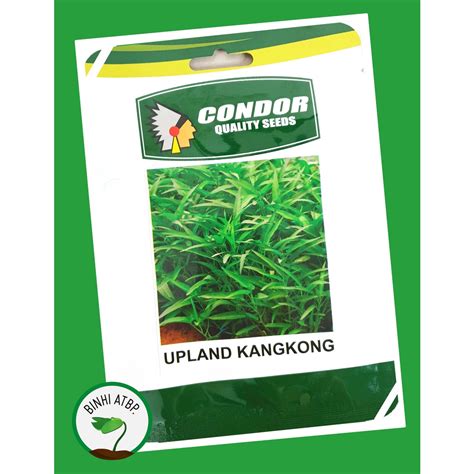 Condor Upland Kangkong (Chinese Water Spinach) Seeds (10 Gr Pack ...