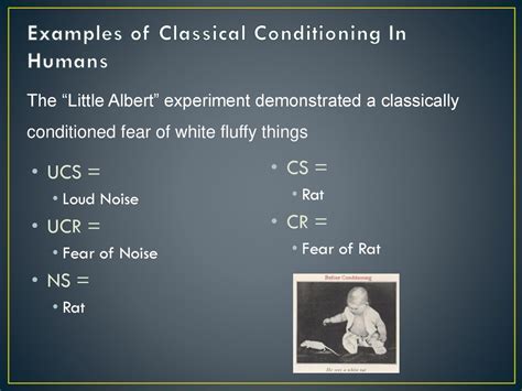 Classical Conditioning in Humans 的图像结果