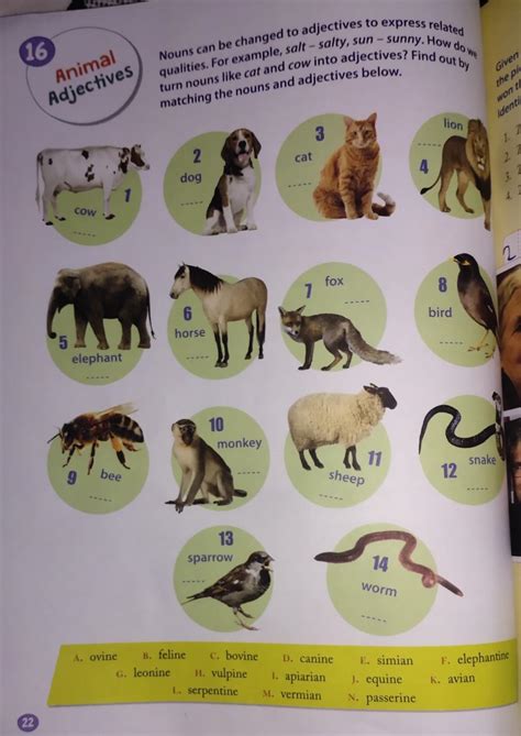 please solve it please don't waste my points if you don't know you can ...