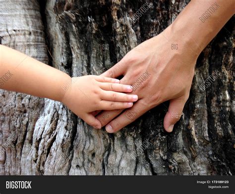 Small Hand Little Girl Image & Photo (Free Trial) | Bigstock