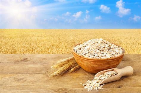 Ears of oats and oatmeal in bowl on table with field on the background ...